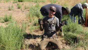 A land steward holds up an invasive plant during a volunteer event