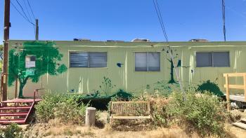 A light green colored trailer painted with a mural of green trees and dark bird silhouettes sits on a patch of golden grass under a blue sky