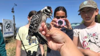 An outstretched hand on which is perched a smaller black and white spotted woodpecker, out of focus behind the bird and three students looking at the bird, one with a pink camera up to take a photo