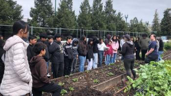 A group of about 30 students stands next to a low garden bed facing an instructor on the other side of the bed, under a cloudy sky