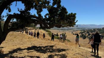 A line of hikers walking away from the camera along a golden ridge top with grass and dark oak trees in front of a view of a tree-dotted valley below