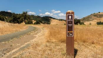 A wooden trail marker in the foreground in front of a gravel trail winding through a field of golden grass, with golden hills dotted with dark trees in the distance, under a bright blue sky with some fluffy white clouds on the horizon