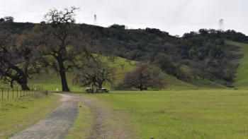 Hearts Delight Trail at Coyote Valley. The grass is green and the trail is lined with oak trees.