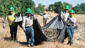 Five San Jose Conservation Corps workers in uniform carry a tarp filled with shrubbery and trimmings. Each person is carrying one corner of the tarp. Trees and yellow grass surround them.