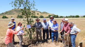 A group of 10 people stand around an oak sapling in a field of yellow grass under a blue sky