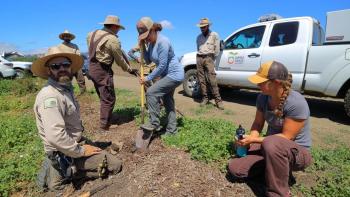 Six OSA staff planting on a dirt ground in front of a white OSA pickup truck