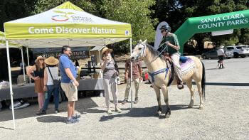 Ridge Trail Dedication Horse