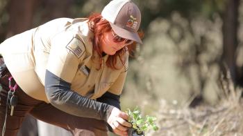 Woman in OSA gear kneeling down and holding a green plant