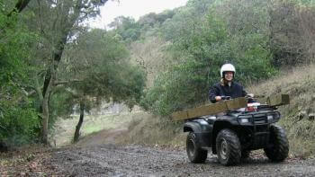 Wide shot of a forest with a woman riding a small motorized vehicle in the right side, wearing a white helmet