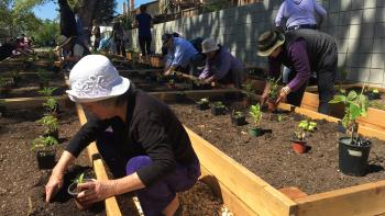 Woman planting seeds in a small garden bed
