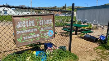 Joseph George Middle School Community Garden