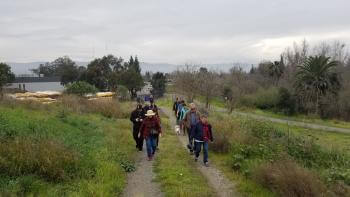 A group of people walking along a dirt trail surrounded by greenery