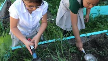 Two girls digging holes in the dirt with small shovels