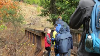 A family of three walking across a small bridge in the forest