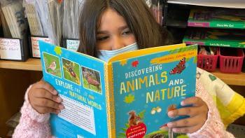 Young girl reading a book