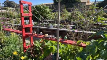 Garden filled with green plants and a small red bridge resembling the SF Golden Gate Bridge