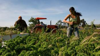 A man and a woman working in the green fields with a red tractor in the background.
