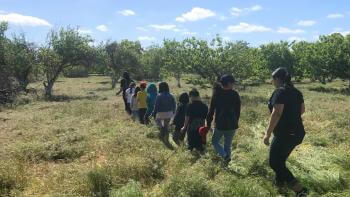 A line of children walking along a path in a green field with trees
