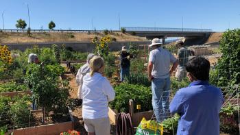 People standing around at the community garden surrounded by green plant beds with a bridge in the background