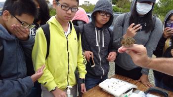 A group of students watching a bird on a mans hand