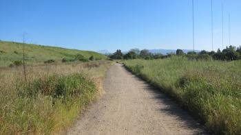 A landscape of a dirt path in between green hills and a clear blue sky