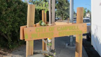 Tree stakes around a young tree that say "City of Campbell volunteer reforestation"