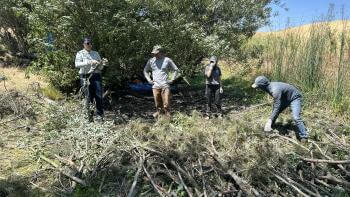 Four people dressed for the outdoors in long sleeves and hats stand behind a low pile of branches and dirt in a shallow ditch surrounded by trees and reeds