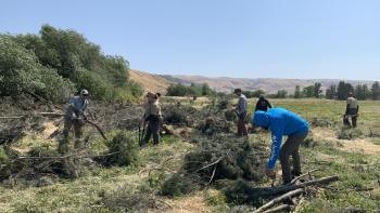 A group of six people stand in an open field with small piles of wood and cut branches, under a blue sky, with golden hills in the distance