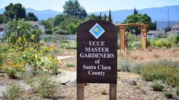 A sign that reads "UCCE MASTER GARDENERS of Santa Clara County" in a garden