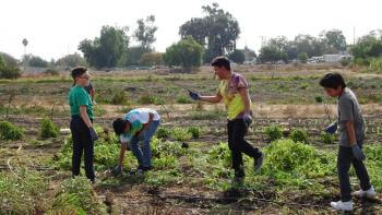 4 kids working the field