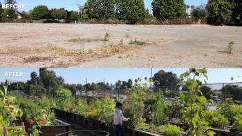 Before and after photo collage of Everett Souza Park. Before photo shows dry, bare, concrete lot and after photo shows a green community garden