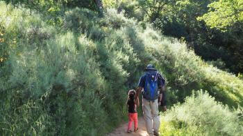 A dad and young daughter holding hands and walking on a trail 
