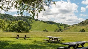 Picnic benches under an oak tree at Coyote Valley Open Space Preserve