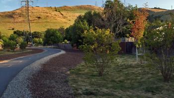 A winding paved trail with green grass and trees to the side and hills in the back