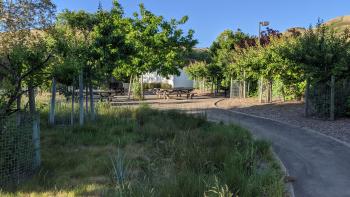 Alviso Adobe park 