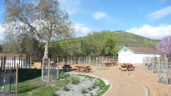 alviso adobe park trails with grass and trees