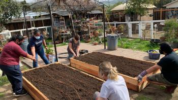 people installing planter beds