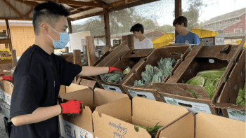 A man wearing a mask and gloves handling fresh produce in boxes