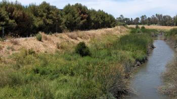 A stream of water with green shrubbery surrounding it