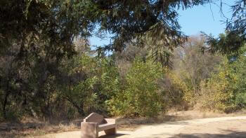 A tan bench on a trail with green trees in the background