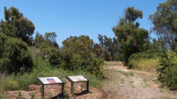 A trail with shrubs and two information stands