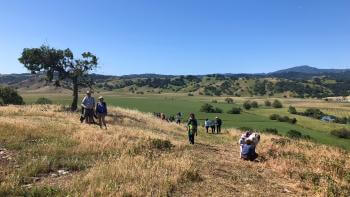 A sunny, grassy hilltop with a clear blue sky. A group of hikers, diverse in age and attire, walk and rest on a dirt path. A lone tree stands to the left, with rolling green fields and distant hills in the background. 