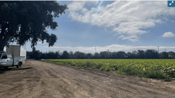 A plot of farmland sits next to a dirt road.