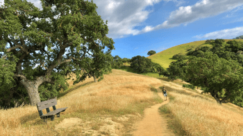 A hiker wanders down a recreational trail surrounded by golden grassland and oak trees.