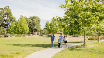 A family walks on a paved path between fields of grass lined with trees at a park.