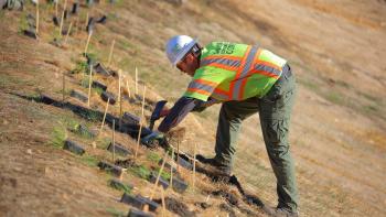 A San Jose Conservation Corps member installs plants along the edge of a drained pond.