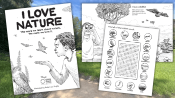 Three black-and-white pages from a nature-themed coloring book in front of a photo of a grassy landscape with a dirt trail