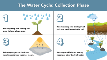 Water Cycle Collection Phase graphic includes rain falling onto the soil, rain seeping into the aquifer, rain evaporating back into the atmosphere and rain trickling into a nearby body of water. 