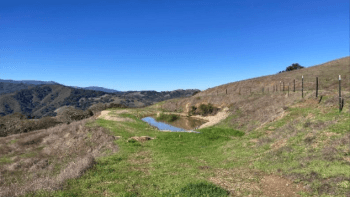 A newly renovated pond retains water surrounded by green vegetation.