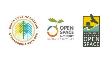 Logos for Santa Cruz Mountains Stewardship Network, Santa Clara Valley Open Space Authority and Midpeninsula Regional Open Space District